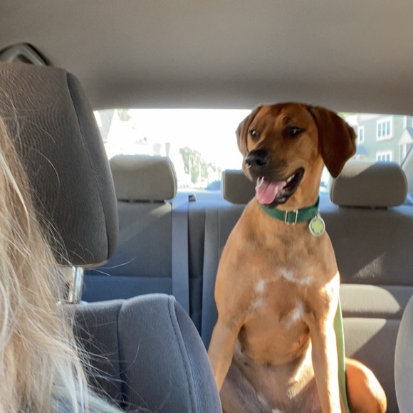 Meet your Posher, Hannah - Picture 6 of 6